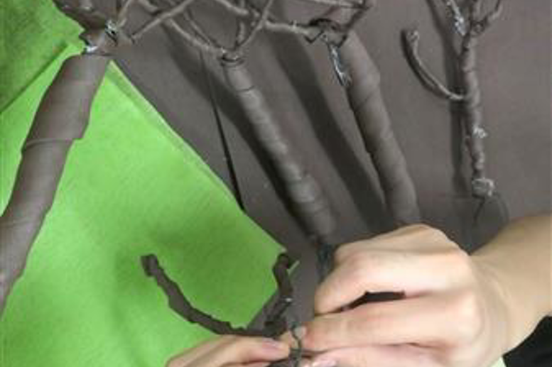 Quy trình tạo cây cho mô hình