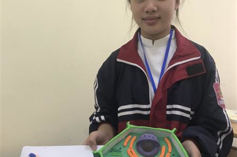 Mô hình tế bào (Sinh học 10)