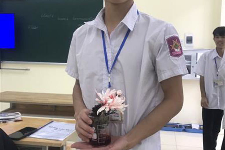 Sự vận chuyển các chất trong cây (Sinh học 11)