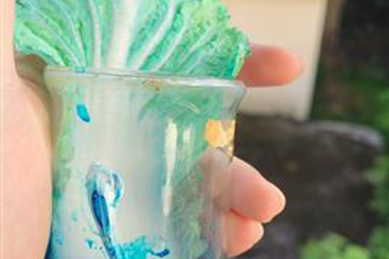 Sự vận chuyển các chất trong cây (Sinh học 11)